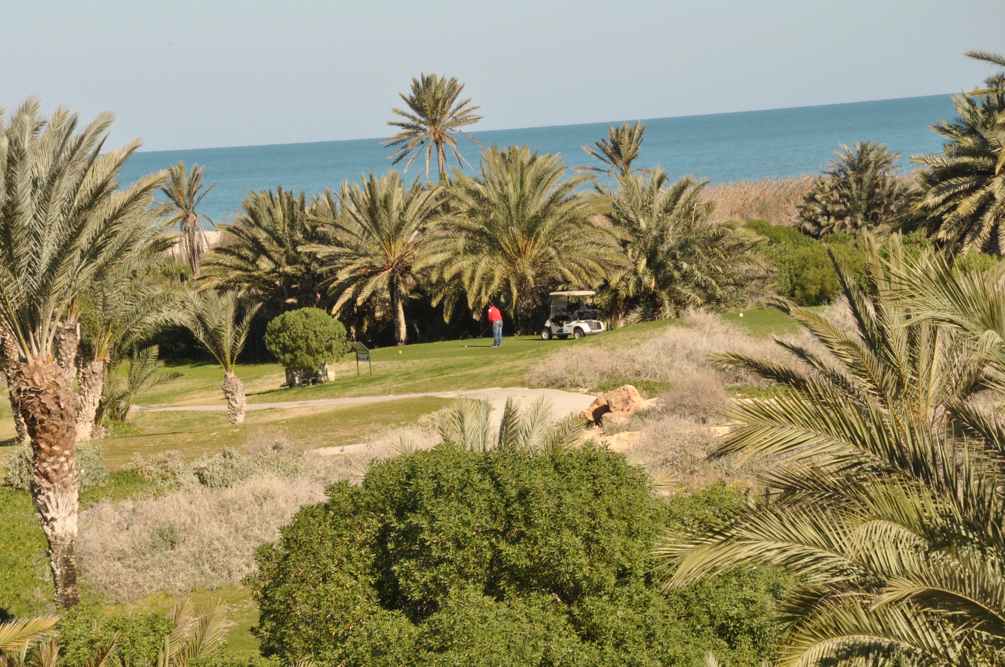 Yadis Djerba Thalasso & 4*